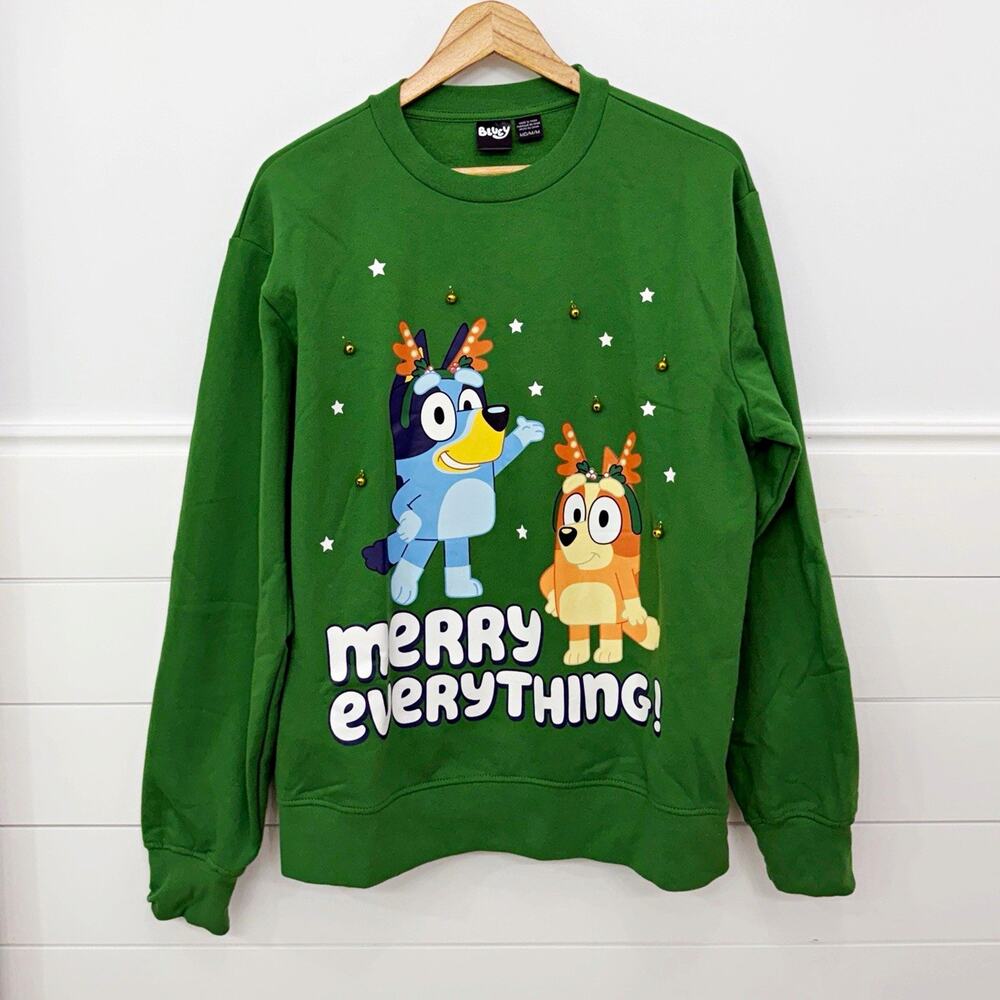 Women’s BLUEY Ugly Christmas Holiday Sweater Sweatshirt Green Size M